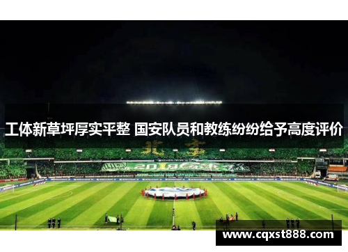 工体新草坪厚实平整 国安队员和教练纷纷给予高度评价